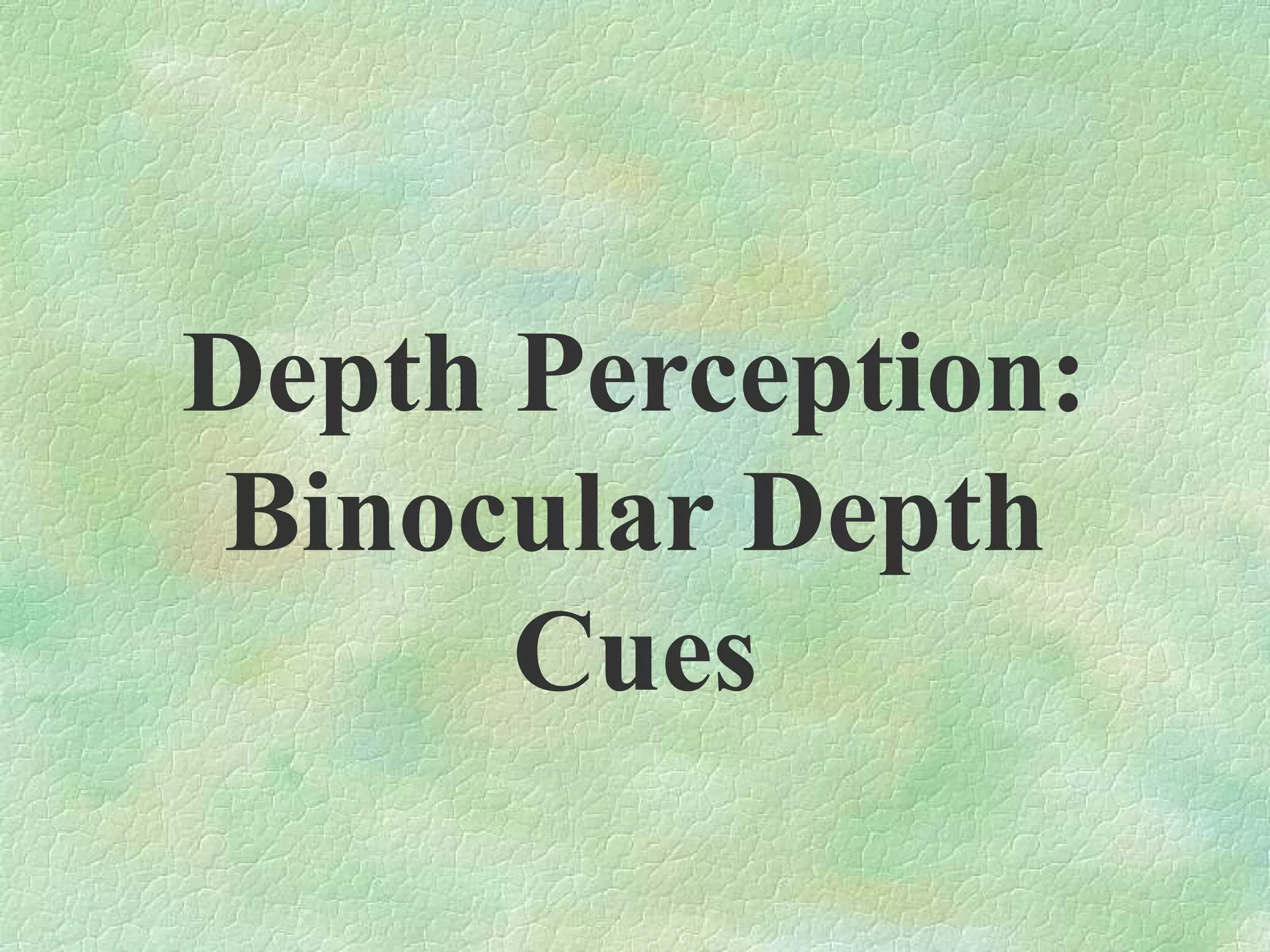 Depth Perception:
Binocular Depth
      Cues
 