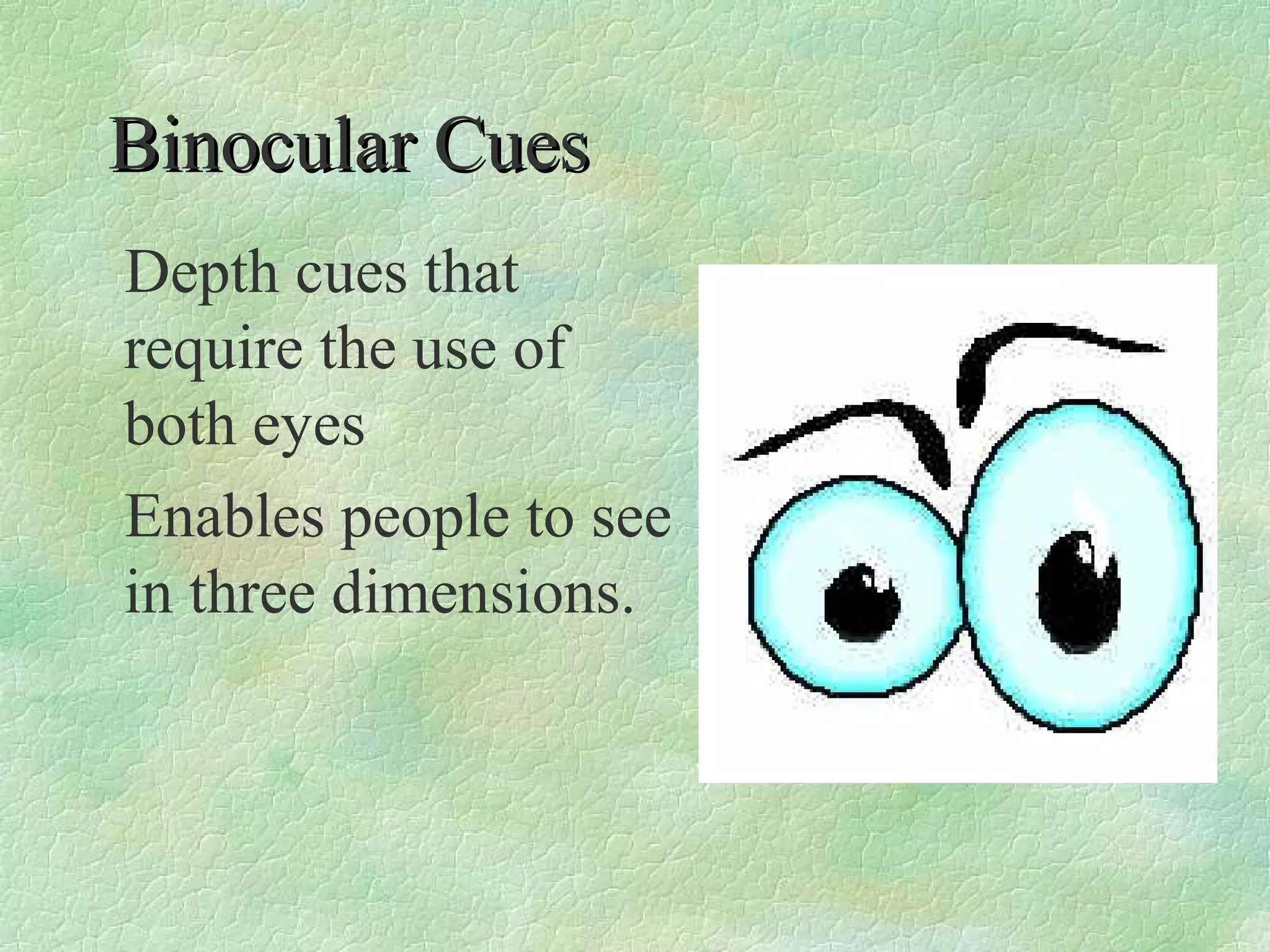 Binocular Cues
Depth cues that
require the use of
both eyes
Enables people to see
in three dimensions.
 