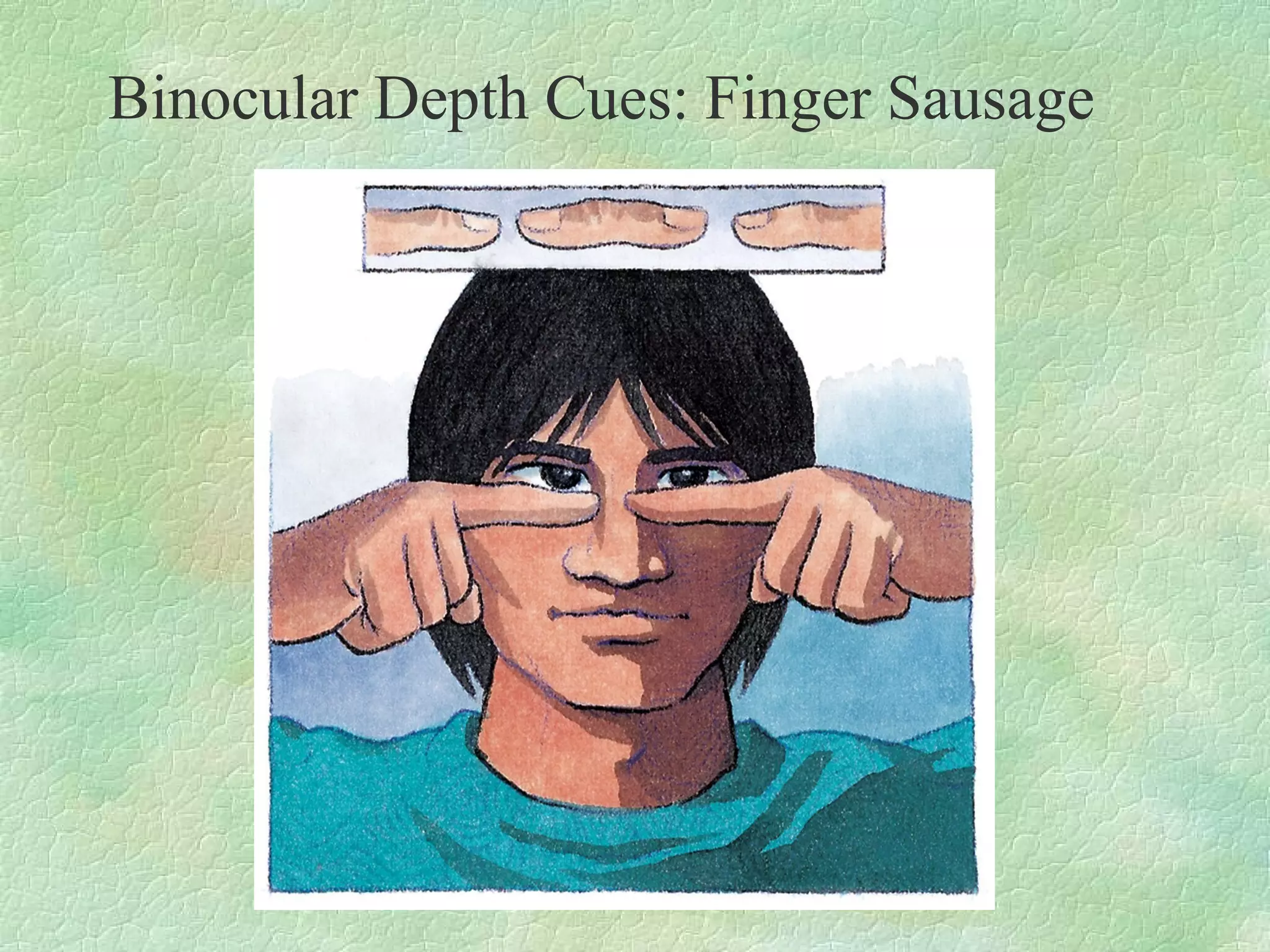 Binocular Depth Cues: Finger Sausage
 