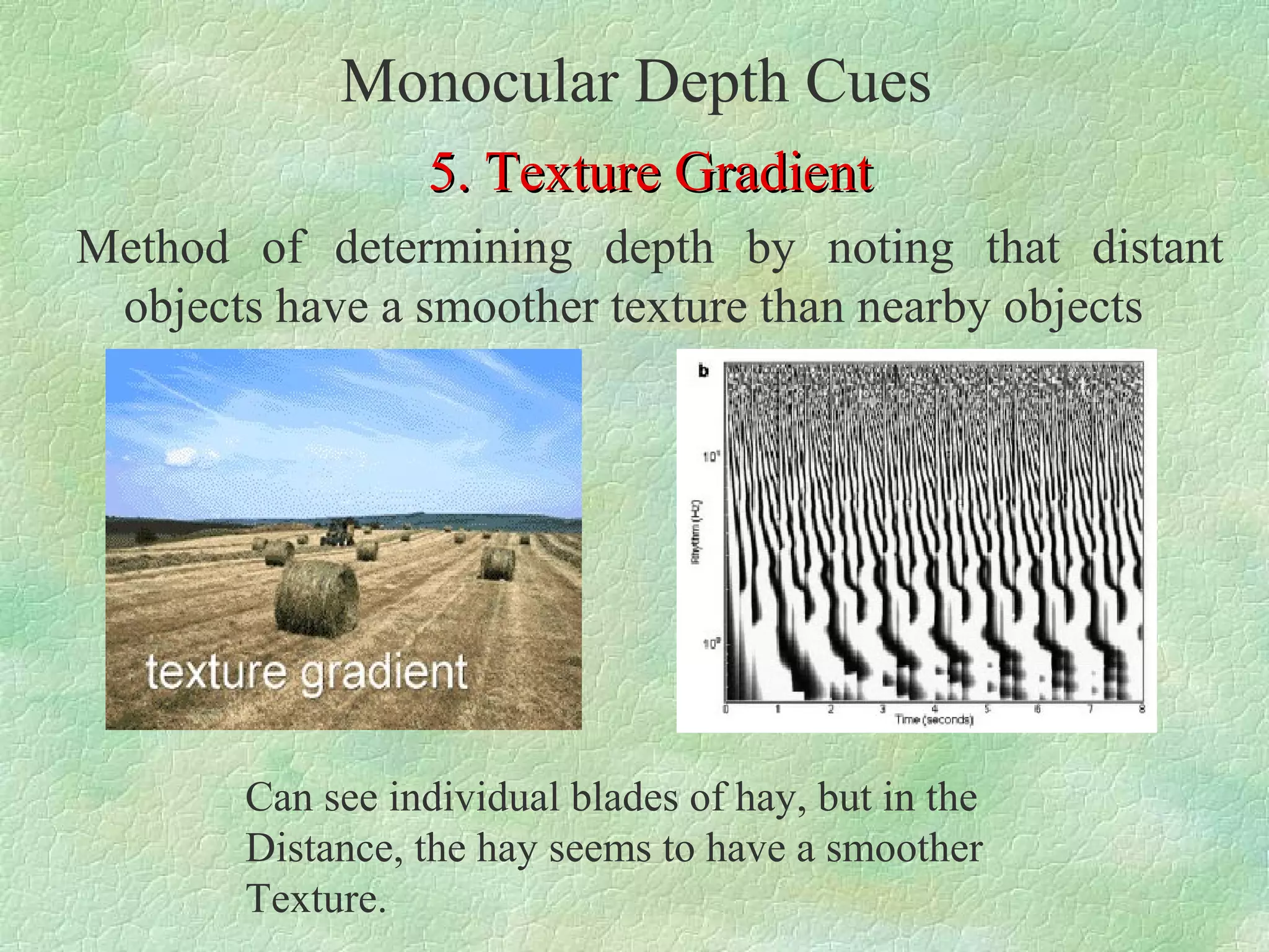 Monocular Depth Cues
                 5. Texture Gradient
Method of determining depth by noting that distant
 objects have a smoother texture than nearby objects




       Can see individual blades of hay, but in the
       Distance, the hay seems to have a smoother
       Texture.
 
