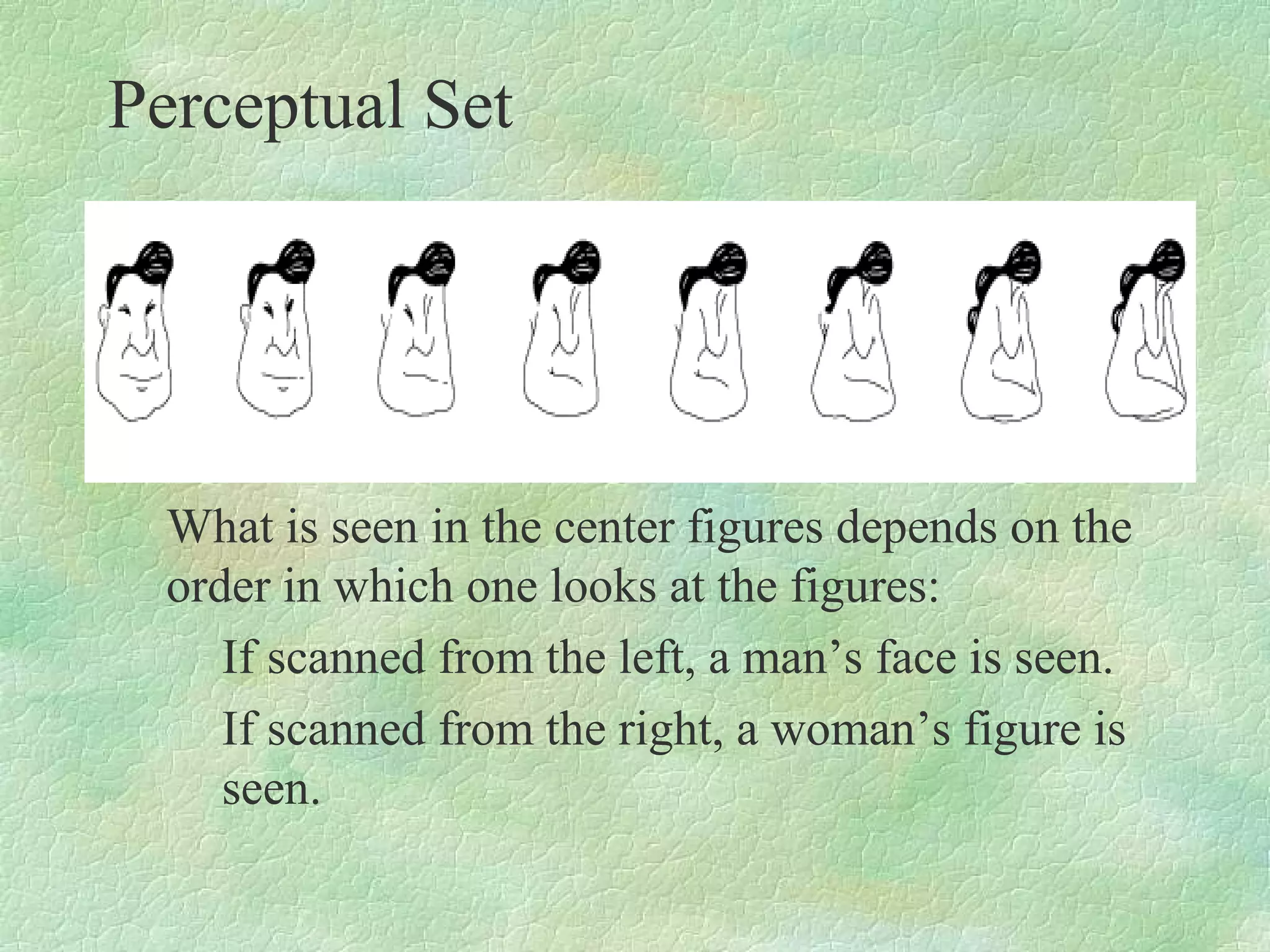 Perceptual Set




  What is seen in the center figures depends on the
  order in which one looks at the figures:
     If scanned from the left, a man’s face is seen.
     If scanned from the right, a woman’s figure is
     seen.
 