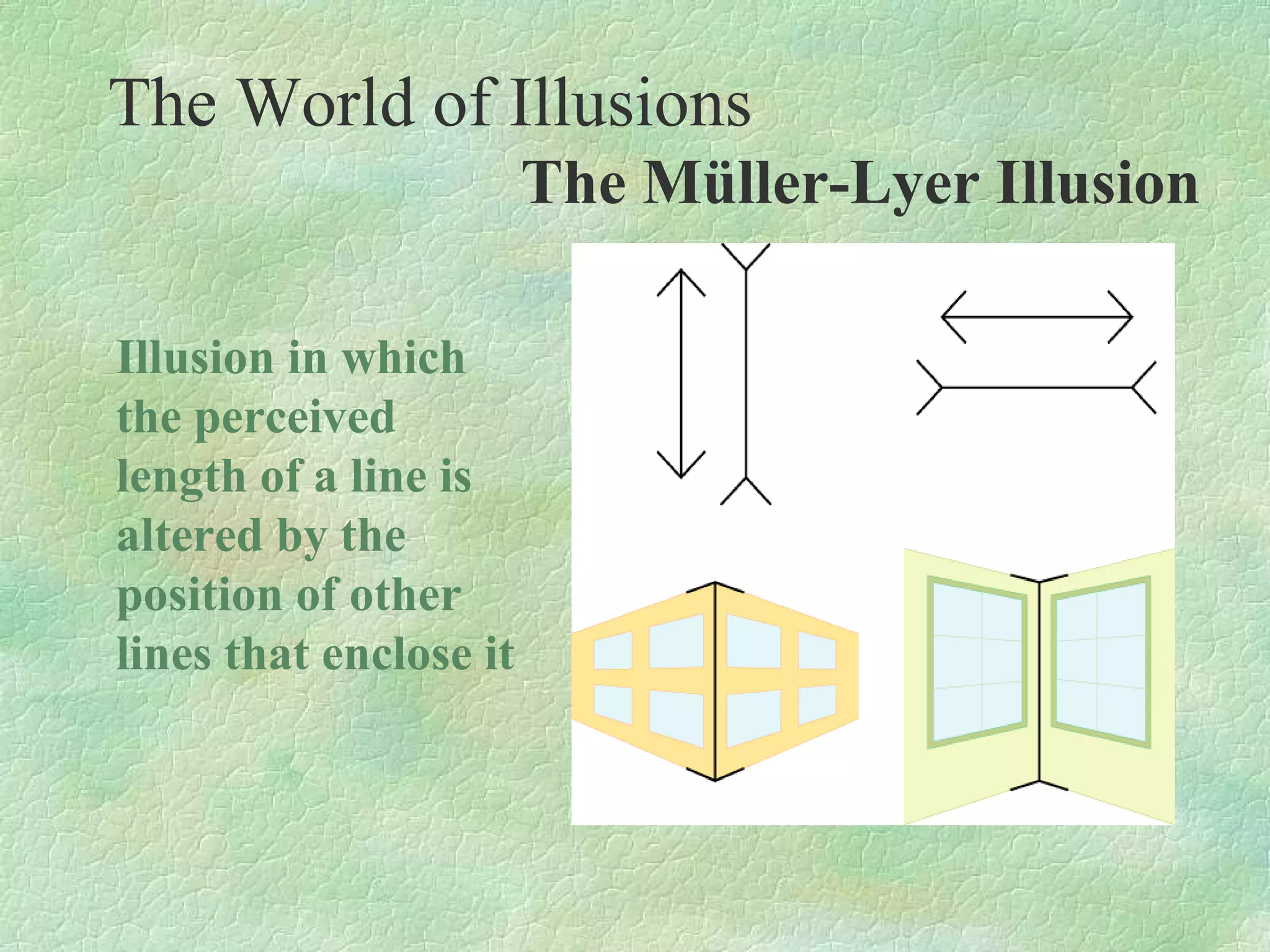 The World of Illusions
                        The Müller-Lyer Illusion

Illusion in which
the perceived
length of a line is
altered by the
position of other
lines that enclose it
 