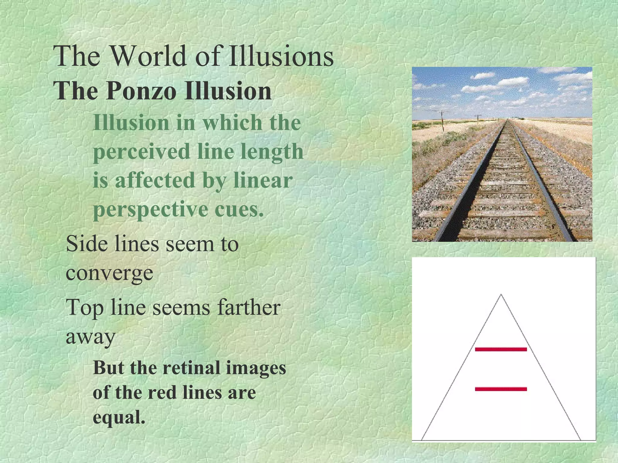 The World of Illusions
The Ponzo Illusion
    Illusion in which the
    perceived line length
    is affected by linear
    perspective cues.
 Side lines seem to
 converge
 Top line seems farther
 away
   But the retinal images
   of the red lines are
   equal.
 
