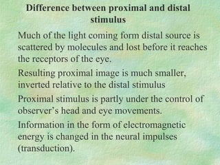 Difference between proximal and distal
                 stimulus
Much of the light coming form distal source is
scattered ...