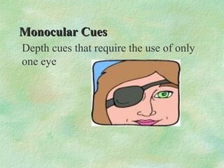 Components of Monocular Cues
 Monocular depth cues include:
 1.relative size
 2.relative motion
 3.interposition
 4.relati...