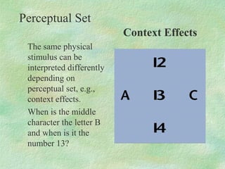 Perceptual Set