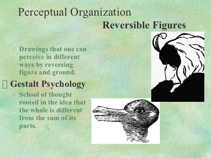 1 perceptual process