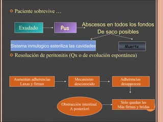 Paciente sobrevive … Resolución de peritonitis (Qx o de evolución espontánea) Exudado   Pus   Abscesos en todos los fondos De saco posibles Sistema inmulogico esteriliza las cavidades Muerte   Aumentan adherencias Laxas y firmes Mecanismo desconocido Adherencias  desaparecen Sólo quedan las Más firmes y bridas Obstrucción intestinal  A posteriori 