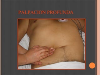 PALPACION PROFUNDA 
