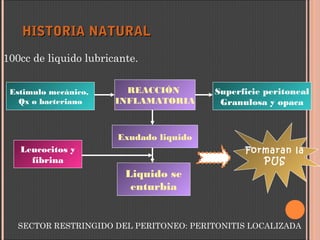 HISTORIA NATURALHISTORIA NATURAL
100cc de liquido lubricante.
Estimulo mecánico,
Qx o bacteriano
REACCIÓN
INFLAMATORIA
Superficie peritoneal
Granulosa y opaca
Exudado liquido
Liquido se
enturbia
Leucocitos y
fibrina
Formaran la
PUS
SECTOR RESTRINGIDO DEL PERITONEO: PERITONITIS LOCALIZADA
 
