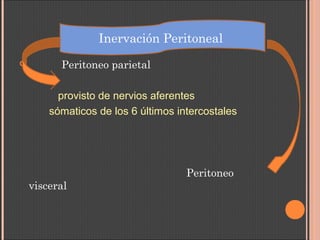 Peritoneo parietal
provisto de nervios aferentes
sómaticos de los 6 últimos intercostales
Peritoneo
visceral
Inervación Peritoneal
 