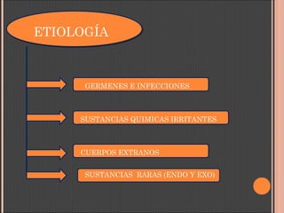 ETIOLOGÍA
GERMENES E INFECCIONES
SUSTANCIAS QUIMICAS IRRITANTES
CUERPOS EXTRANOS
SUSTANCIAS RARAS (ENDO Y EXO)
 
