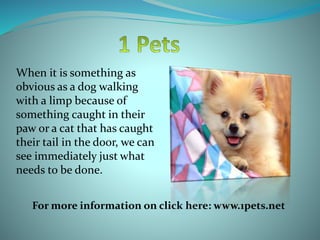 When it is something as
obvious as a dog walking
with a limp because of
something caught in their
paw or a cat that has caught
their tail in the door, we can
see immediately just what
needs to be done.
For more information on click here: www.1pets.net
 