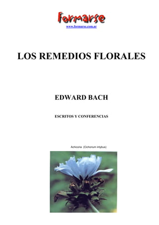 www.formarse.com.ar 
LOS REMEDIOS FLORALES 
EDWARD BACH 
ESCRITOS Y CONFERENCIAS 
Achicoria (Cichorium intybus) 
 