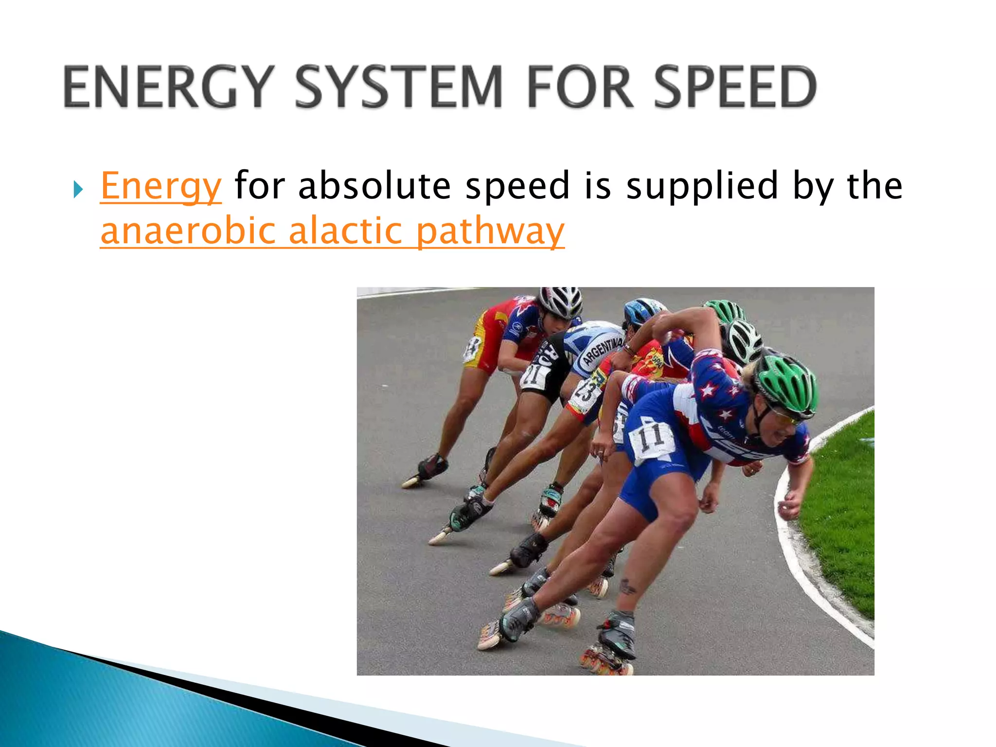  Energy for absolute speed is supplied by the
anaerobic alactic pathway
 