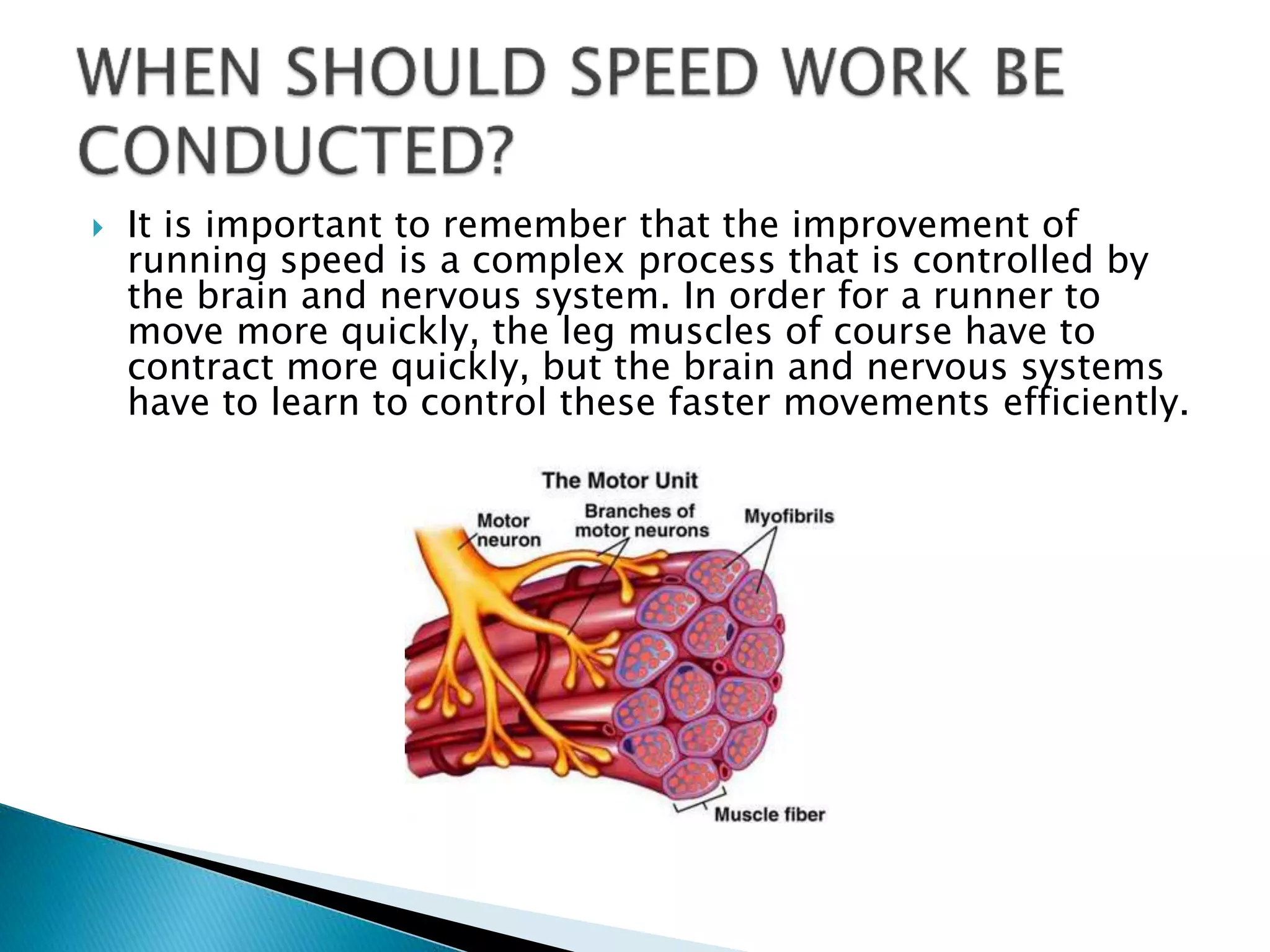  It is important to remember that the improvement of
running speed is a complex process that is controlled by
the brain and nervous system. In order for a runner to
move more quickly, the leg muscles of course have to
contract more quickly, but the brain and nervous systems
have to learn to control these faster movements efficiently.
 