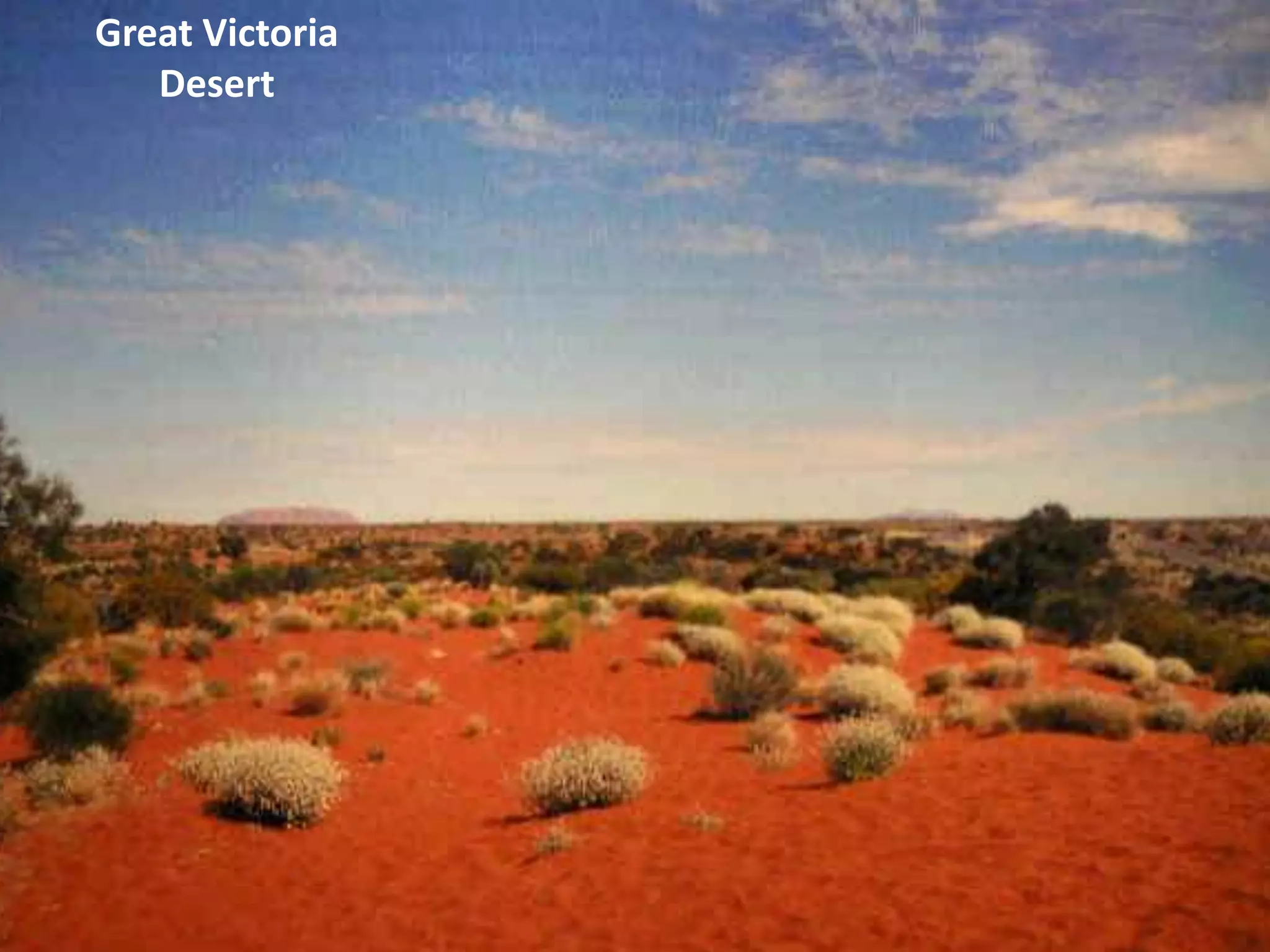 Great Victoria Desert