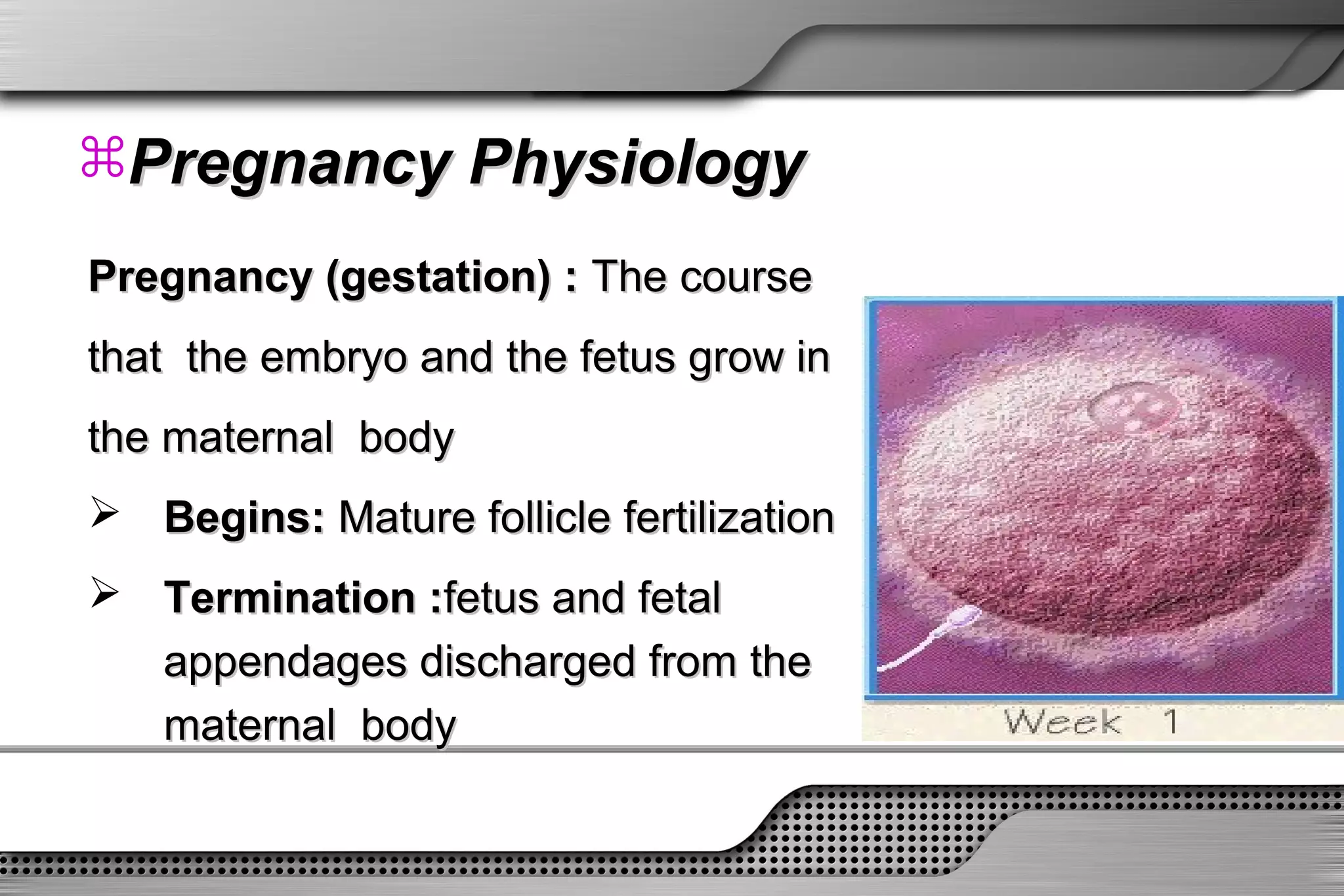 1 physiology of pregnancy | PPT | Pregnancy | Reproductive Health