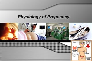 Physiology of PregnancyPhysiology of Pregnancy
 