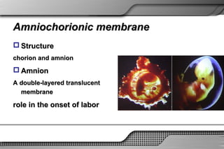 1 physiology of pregnancy | PPT