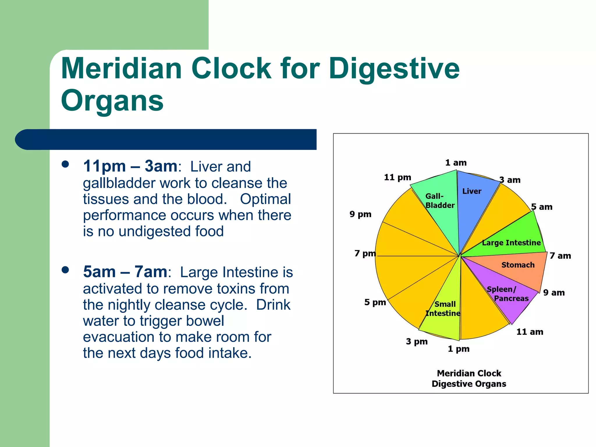 Meridian Clock for Digestive 
Organs 
 11pm – 3am: Liver and 
gallbladder work to cleanse the 
tissues and the blood. Optimal 
performance occurs when there 
is no undigested food 
 5am – 7am: Large Intestine is 
activated to remove toxins from 
the nightly cleanse cycle. Drink 
water to trigger bowel 
evacuation to make room for 
the next days food intake. 
 