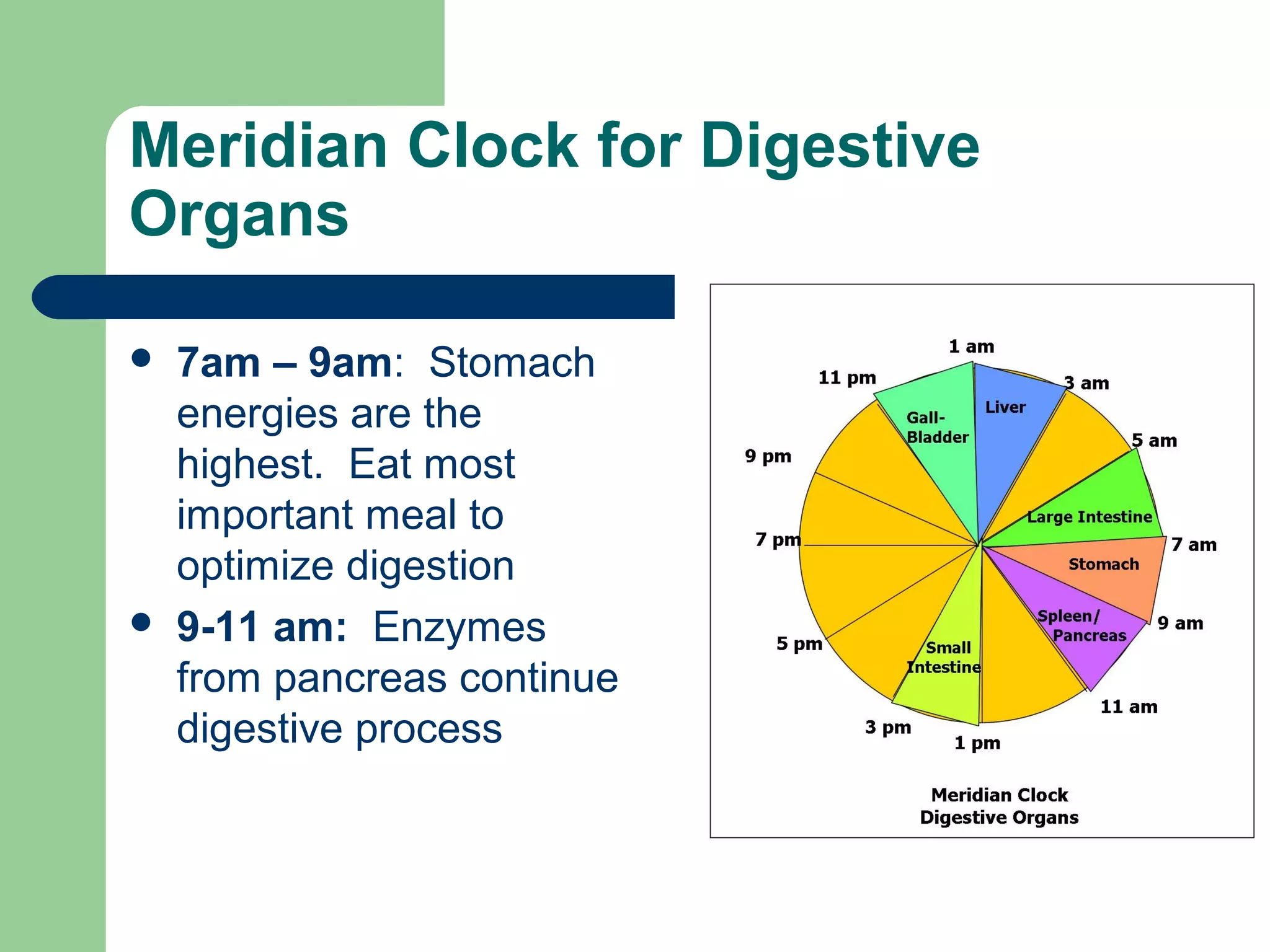 Meridian Clock for Digestive 
Organs 
 7am – 9am: Stomach 
energies are the 
highest. Eat most 
important meal to 
optimize digestion 
 9-11 am: Enzymes 
from pancreas continue 
digestive process 
 
