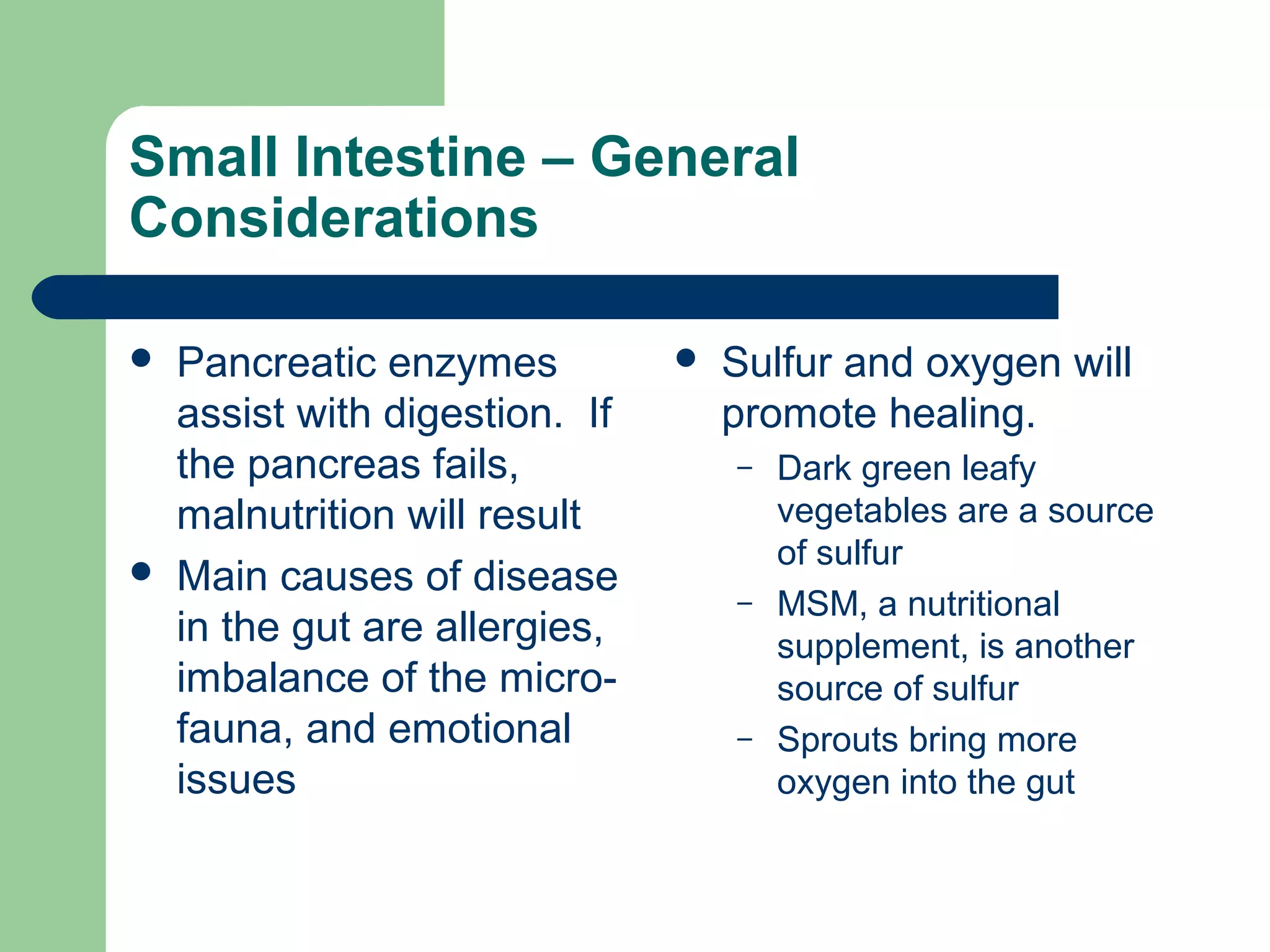Small Intestine – General 
Considerations 
 Pancreatic enzymes 
assist with digestion. If 
the pancreas fails, 
malnutrition will result 
 Main causes of disease 
in the gut are allergies, 
imbalance of the micro-fauna, 
and emotional 
issues 
 Sulfur and oxygen will 
promote healing. 
– Dark green leafy 
vegetables are a source 
of sulfur 
– MSM, a nutritional 
supplement, is another 
source of sulfur 
– Sprouts bring more 
oxygen into the gut 
 