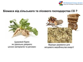 Біомаса від сільського та лісового господарства (3) ?
Цукровий буряк
як ідеальне джерело
цінних матеріалів та речовин
Відходи деревини для
місцевого виробництва енергії
 