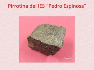 Pirrotina del IES “Pedro Espinosa”
 