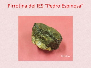 Pirrotina del IES “Pedro Espinosa”
 