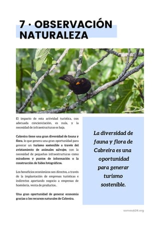 La diversidad de
fauna y flora de
Cabreira es una
oportunidad
para generar
turismo
sostenible.
7 · OBSERVACIÓN
NATURALEZA
El impacto de esta actividad turística, con
adecuada concienciación, es nula, y la
necesidad de infraestructuras es baja.
Cabreira tiene una gran diversidad de fauna y
flora, lo que genera una gran oportunidad para
generar un turismo sostenible a través del
avistamiento de animales salvajes, con la
necesidad de pequeñas infraestructuras como
miradores y puntos de información o la
construcción de hides fotográficos.
Los beneficios económicos son directos, a través
de la implantación de empresas turísticas e
indirectos aportando negocio a empresas de
hostelería, venta de productos..
Una gran oportunidad de generar economía
gracias a los recursos naturales de Cabreira.
somosADR.org
 