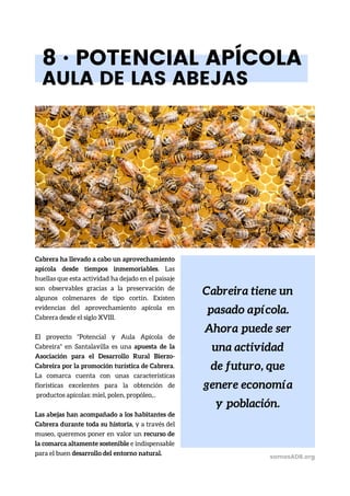 Cabreira tiene un
pasado apícola.
Ahora puede ser
una actividad
de futuro, que
genere economía
y población.
8 · POTENCIAL APÍCOLA
AULA DE LAS ABEJAS
Cabrera ha llevado a cabo un aprovechamiento
apícola desde tiempos inmemoriables. Las
huellas que esta actividad ha dejado en el paisaje
son observables gracias a la preservación de
algunos colmenares de tipo cortín. Existen
evidencias del aprovechamiento apícola en
Cabrera desde el siglo XVIII.
El proyecto "Potencial y Aula Apícola de
Cabreira" en Santalavilla es una apuesta de la
Asociación para el Desarrollo Rural Bierzo-
Cabreira por la promoción turística de Cabrera.
La comarca cuenta con unas características
florísticas excelentes para la obtención de
productos apícolas: miel, polen, propóleo,..
Las abejas han acompañado a los habitantes de
Cabrera durante toda su historia, y a través del
museo, queremos poner en valor un recurso de
la comarca altamente sostenible e indispensable
para el buen desarrollo del entorno natural. somosADR.org
 