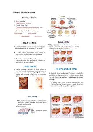 Slides de Histologia Animal
 