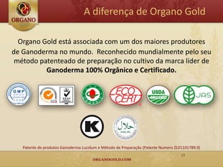 A diferença de Organo Gold

  Organo Gold está associada com um dos maiores produtores
de Ganoderma no mundo. Reconhecido mundialmente pelo seu
 método patenteado de preparação no cultivo da marca líder de
          Ganoderma 100% Orgânico e Certificado.




   Patente de produtos Ganoderma Lucidum e Método de Preparação (Patente Numero ZL01101789.9)
                                                                                   13
 