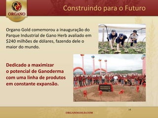 Construindo para o Futuro

Organo Gold comemorou a inauguração do
Parque Industrial de Gano Herb avaliado em
$240 milhões de dólares, fazendo dele o
maior do mundo.


Dedicado a maximizar
o potencial de Ganoderma
com uma linha de produtos
em constante expansão.



                                               14
 