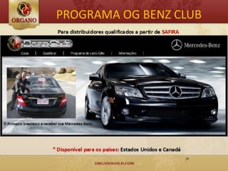 PROGRAMA OG BENZ CLUB




                  29
 