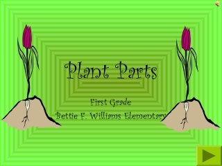 Plant Parts
First Grade
Bettie F. Williams Elementary
 
