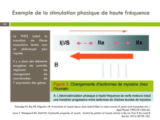 Exemple de la stimulation phasique de haute fréquence
La PHFS induit la
transition de fibres
musculaire lentes vers
un phénotype plus
rapide.
Il y a donc des éléments
exogènes de contrôle
régissant les
changement de
coordonnées de
l’expression des gènes.
Talmadge RJ, Roy RR, Edgerton VR. Prominence of myosin heavy chain hybrid fibers in soleus muscle of spinal cord-transected rats. J
Appl Physiol 1995;78:1256-65.
Lomo T, Westgaard RH, Dahl HA. Contractile properties of muscle : Control by pattern of muscle activity in the rat. Proc R Soc Lond B
Biol Sci 1974;187:99-103.
13
 