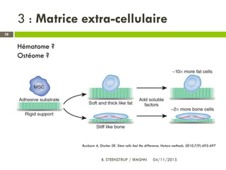 3 : Matrice extra-cellulaire
28
Hématome ?
Ostéome ?
Buxboim A, Discher DE. Stem cells feel the difference. Nature methods. 2010;7(9):695-697
04/11/2015B. STEENSTRUP / IRMSHN
 