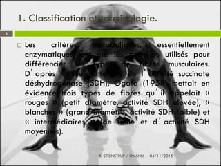 1. Classification et terminologie.
 Les critères métaboliques, essentiellement
enzymatiques, ont été les premiers utilisés pour
différencier les types de fibres musculaires.
D’après la seule intensité de l’activité succinate
déshydrogénase (SDH), Ogata (1958) mettait en
évidence trois types de fibres qu’il appelait «
rouges » (petit diamètre, activité SDH élevée), «
blanches » (grand diamètre, activité SDH faible) et
« intermédiaires » (de taille et d’activité SDH
moyennes).
3
04/11/2015B. STEENSTRUP / IRMSHN
 