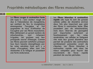 Propriétés métaboliques des fibres musculaires.
 Les fibres rouges à contraction lente
(de type I) : Leur couleur rouge est
due à l'abondance de myoglobine,
qui contient du fer; la myoglobine
emmagasine l'oxygène et fait
augmenter le taux d'utilisation de
l'oxygène par ces fibres musculaires.
Elles détiennent un grand nombre de
mitochondries, sont richement
irriguées. Les graisses sont leur
principale source d'énergie. Comme
ces fibres peuvent satisfaire presque
tous leurs besoins énergétiques par
les voies aérobies (tant qu'il y a
assez d'oxygène), elles sont très
résistantes à la fatigue et possèdent
une forte endurance.
 Les fibres blanches à contraction
rapide (de type II) sont de grosses
cellules pâles de diamètre environ
deux fois plus important que celui
des fibres à contraction lente. Elles
possèdent peu de mitochondries,
mais leurs réserves de glycogène
sont importantes autorisant un
fonctionnement par les voies
anaérobies. ces cellules se fatiguent
vite mais leur grand diamètre leur
permet de produire des contractions
extrêmement puissantes avant de
s'épuiser. Les fibres blanches à
contraction rapide sont donc les
mieux adaptées pour fournir des
mouvements de force rapide
pendant de courtes périodes.
4
04/11/2015B. STEENSTRUP / IRMSHN
 