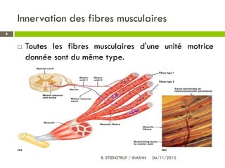 Innervation des fibres musculaires
 Toutes les fibres musculaires d'une unité motrice
donnée sont du même type.
8
Fibres type 1
Fibres type 2
04/11/2015B. STEENSTRUP / IRMSHN
 