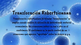 Translocación Robertsionana
Translocación robertsoniana El término translocación se
emplea cuando cambia la ubicación de determinado material
cromosómico. Un cromosoma entero se une a otro en el
centrómero. El centrómero es la parte central de un
cromosoma que aparece apretada entre los brazos p y q.
 