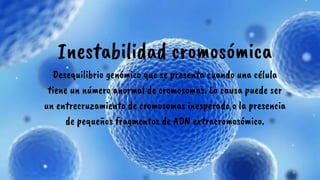 Inestabilidad cromosómica
Desequilibrio genómico que se presenta cuando una célula
tiene un número anormal de cromosomas. La causa puede ser
un entrecruzamiento de cromosomas inesperado o la presencia
de pequeños fragmentos de ADN extracromosómico.
 