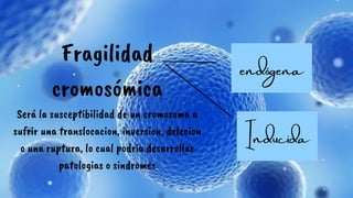 Fragilidad
cromosómica
Será la susceptibilidad de un cromosoma a
sufrir una translocacion, inversion, delecion
o una ruptura, lo cual podria desarrollar
patologias o sindromes
endógena
Inducida
 