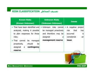 1_PMI-RMP_Project Risk Management Plan | PDF