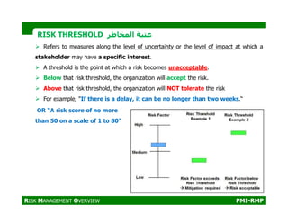 1_PMI-RMP_Project Risk Management Plan | PDF