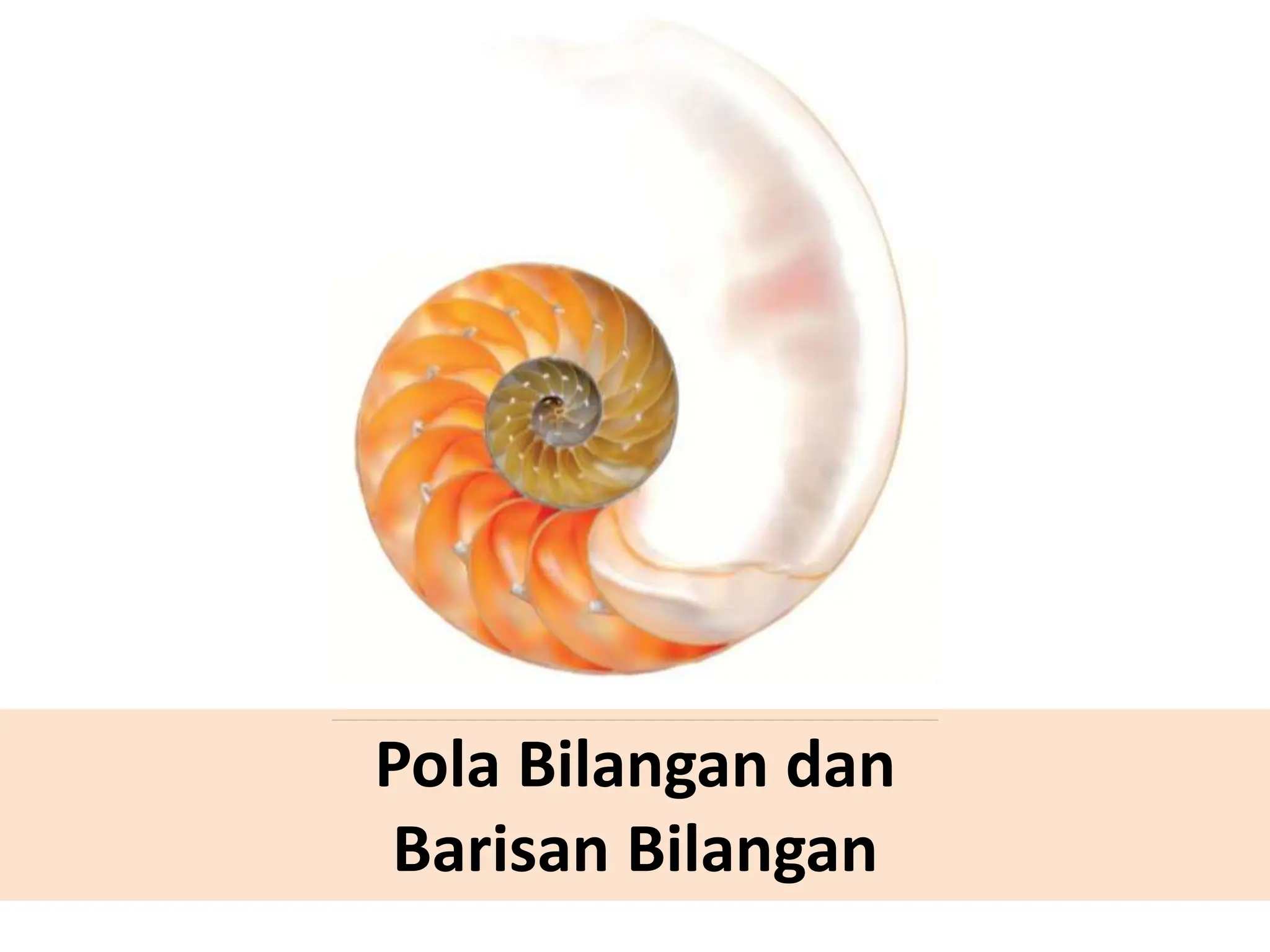 Pola Bilangan dan
Barisan Bilangan
 