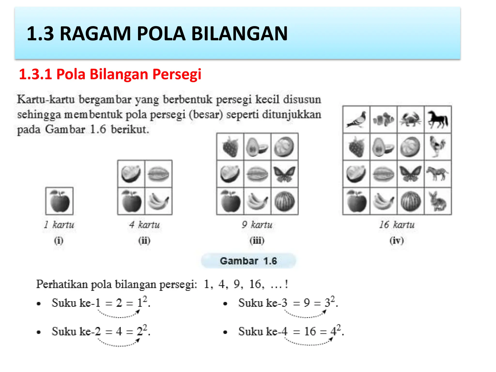 1.3 RAGAM POLA BILANGAN
1.3.1 Pola Bilangan Persegi
 