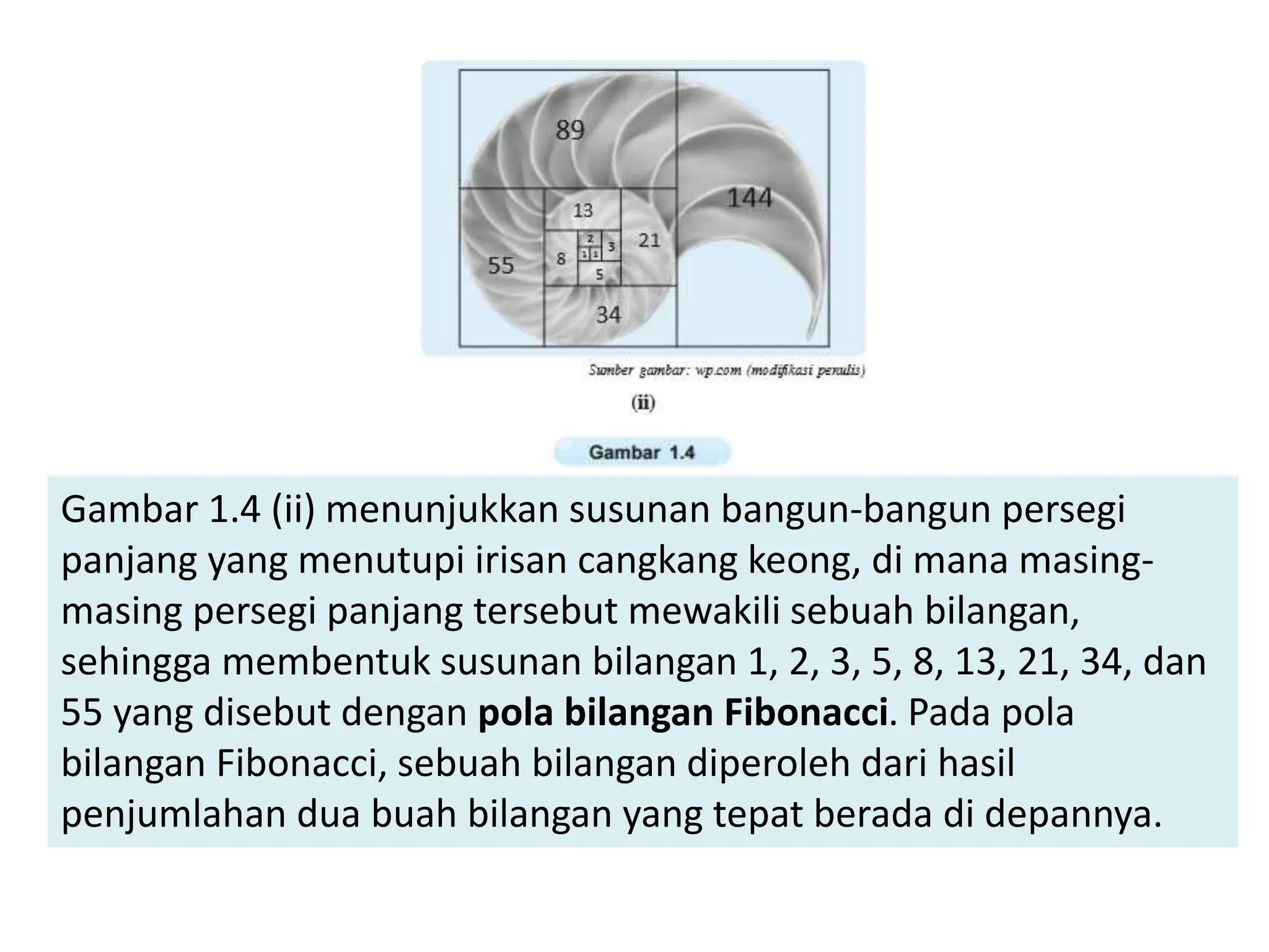 Gambar 1.4 (ii) menunjukkan susunan bangun-bangun persegi
panjang yang menutupi irisan cangkang keong, di mana masing-
masing persegi panjang tersebut mewakili sebuah bilangan,
sehingga membentuk susunan bilangan 1, 2, 3, 5, 8, 13, 21, 34, dan
55 yang disebut dengan pola bilangan Fibonacci. Pada pola
bilangan Fibonacci, sebuah bilangan diperoleh dari hasil
penjumlahan dua buah bilangan yang tepat berada di depannya.
 
